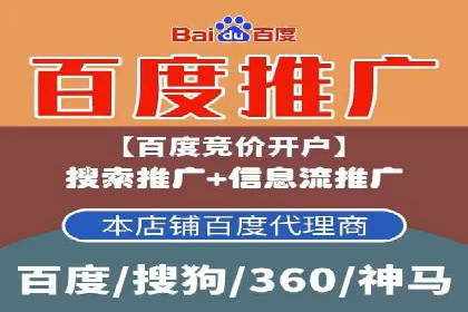 百度竞价广告投放的ROI优化：经典案例分享